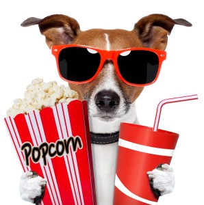 dog watching a movie with popcorn and coke